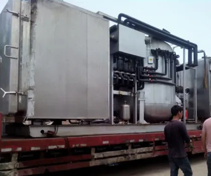 freeze dried fruits and vegetables