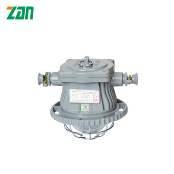 Lampe de tunnel antidéflagrante DGS36/127L (A) sûre et durable