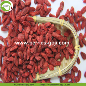 Factory Fruits Premium Low Moisture Goji Berry