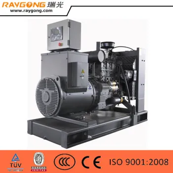 30KVA RAYGONG PE series diesel generator set