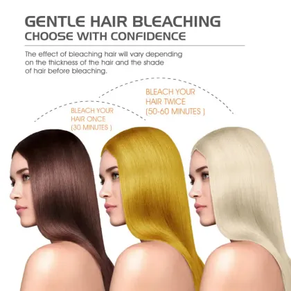 Professional Gray Hair Dye and Bleaching Powder for Salons