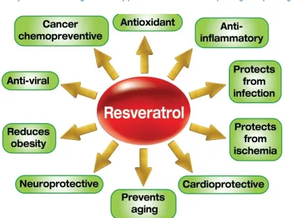 supply cuspidatum extract /resveratrol powder/ resveratrol