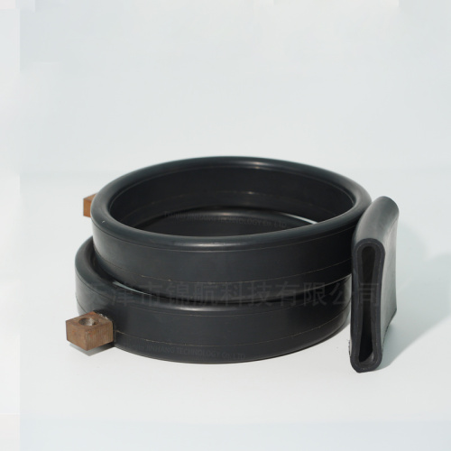 Étude de cas de joints gonflables moulés intégraux