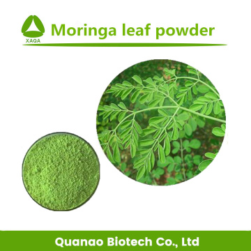 Moringa Oleifera leaf Extract Powder For Health Care
