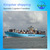 sea freight from shanghai to bandar abbas