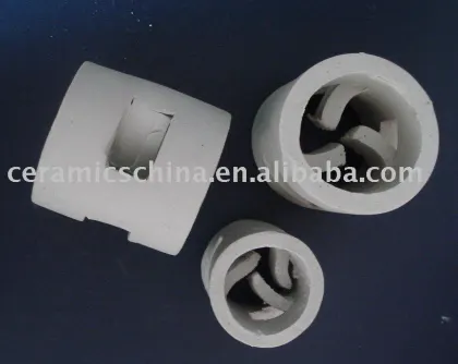 Ceramic Pall Ring,ceramic packing
