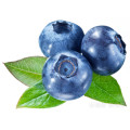 Blueberry Extract 1%-40% Anthocyanins