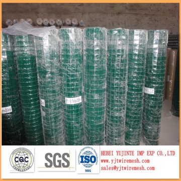PVC Coated Welded Wire Mesh / galvanizd welded wire mesh SALES FOR AFRICA MARKET