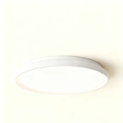 Balanced lighting ceiling lamp