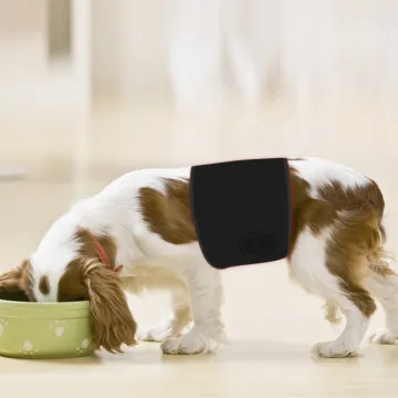 Laser Animal Therapy Belt Wrap For Pain Relief