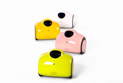 Multi-function Intelligent Robot