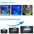 Akwarium LED LED Light White Blue z timerem