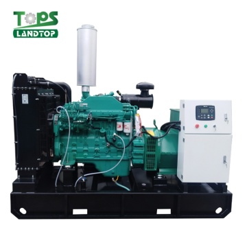 250KW Open Type Perkins Engine Diesel Generator Sales