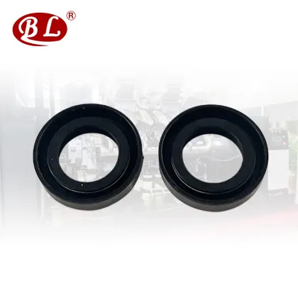 Iron Shell Oil Seal Search Engine