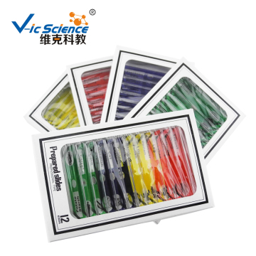Plastic Prepared Slides For Little Children