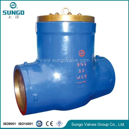 3 check valve for water