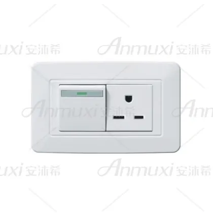 Electric One Switch Gang Socket