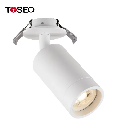 2-Year Warranty Surface-Mounted Black Natural Dimmable Recessed Downlight Spotlight Ceiling Lamp