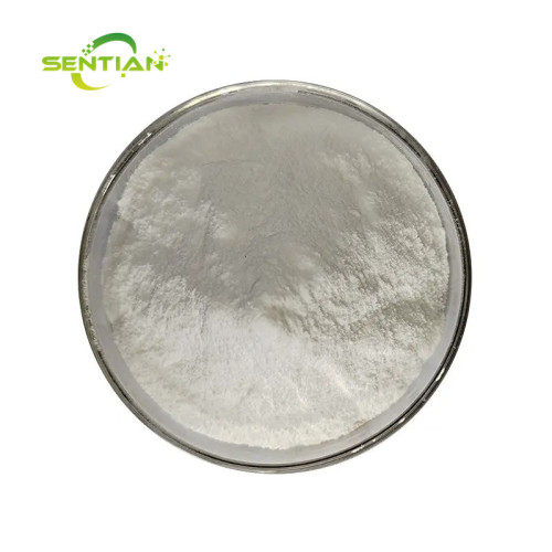 Probiotics Health Supplement Lactobacillus Reuteri