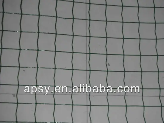Holland electric welded wire mesh/manufacturer/hometown wire mesh