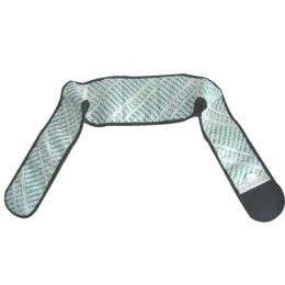 Nano self-heating back support