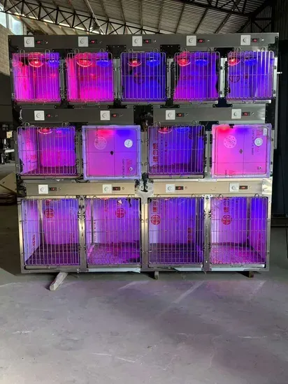 High-End Veterinary ICU Cage