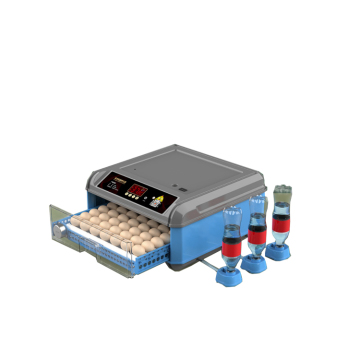 Automatic Chicken Incubator: Automated Egg Hatching for Home Flock Management