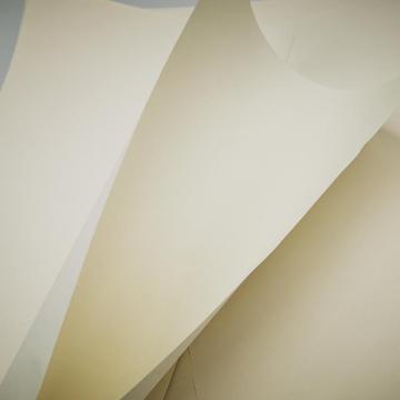 Papier de texture pure yyty