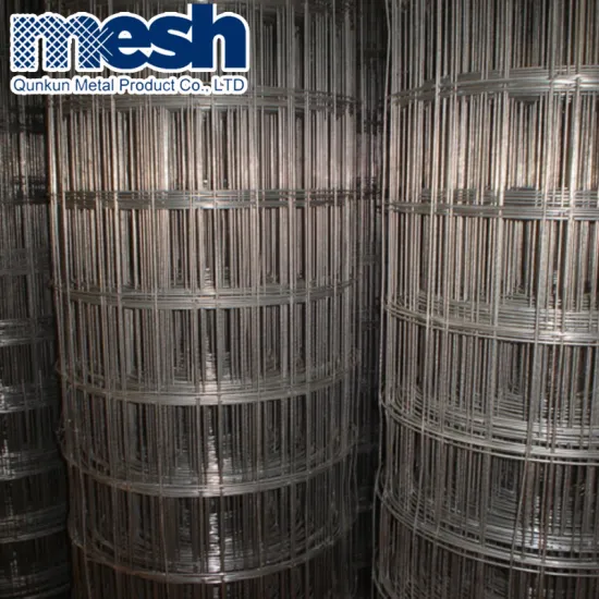 Electro Galvanized/Pvc Coated Welded Wire Mesh