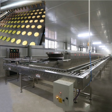 YOSLON Arabic Bread Tunnel Oven for Industrial Bread Making
