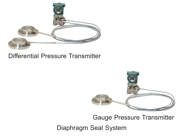 Professional Diaphragm Seal System