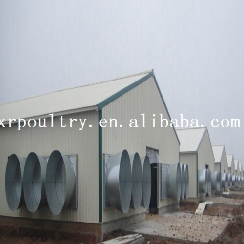 STEEL STRUCTURE POULTRY SHED FOR CHICKEN FARM