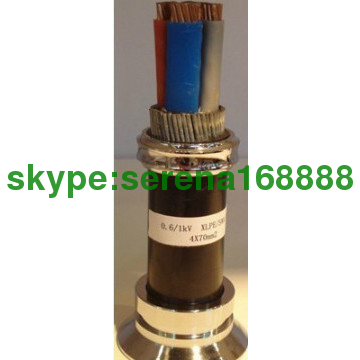 LSZH cable Multicore CU/XLPE/SWA/PVC Steel wrie armoured   BS6724