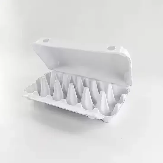 Biodegradable Pulp Egg Cartons with Custom Logo