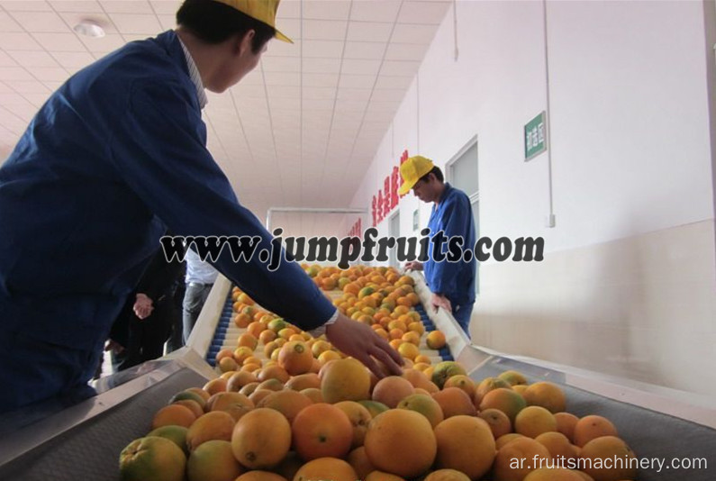 NFC Fruit Orange Juice Line Machinery