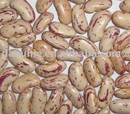 Long Shape Light Speckled Kidney Beans