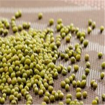 Food grade green mung beans(Heilongjiang)