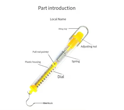 Cylindrical Dynamometer Teaching and Measuring Instruments