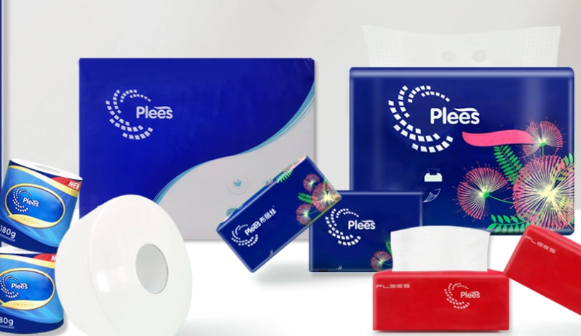 Toilettenrollenpapier Toilet Roll Paper