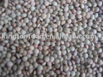 green lentils