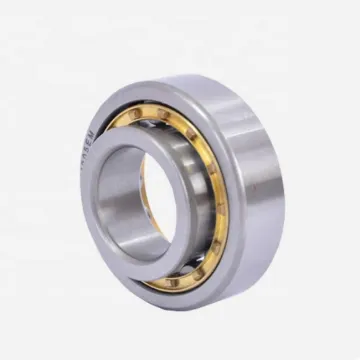 Good Quality Cylindrical Roller Bearing NJ 2308 Manufacturer
