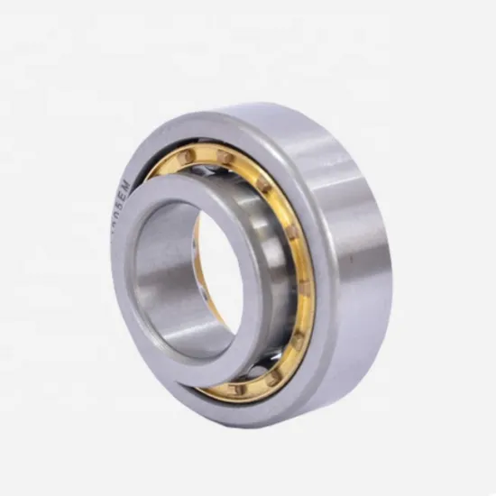 Good Quality Cylindrical Roller Bearing NJ 2308 Manufacturer