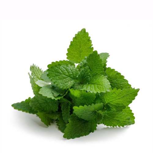 pure peppermint extract powder