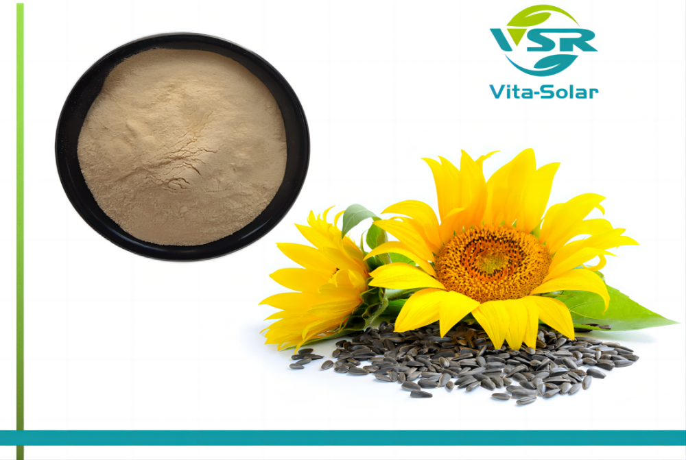 Sunflower Phosphatydylcholine Powder