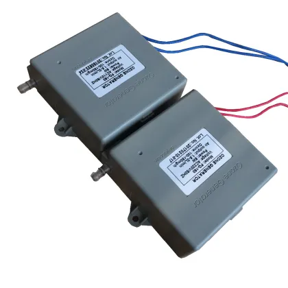 Portable Ozonizer Hospital Medical Apparatus and Instruments Sterilizer Ozone Generator Cell 50~100mg/hr