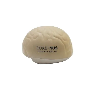 Wholesale Brain-Shaped Stress Balls: Soft PU Slow Raising Toy Teaching Aids