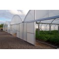 Kina Factory Price Film Cover Greenhouse