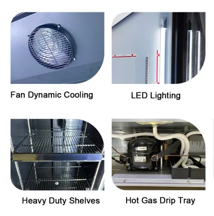 Vertical Stand-Up Beer Cooler Fridge for Drinks