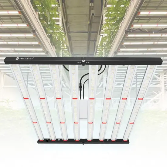 Best Grow Lights For Houseplants