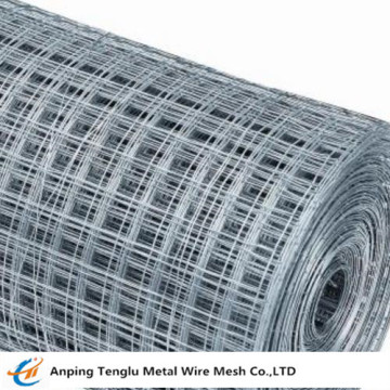 Galvanized Wire Mesh Chinese